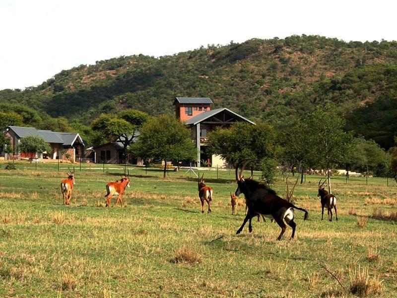 0 Bedroom Property for Sale in Brits Rural North West